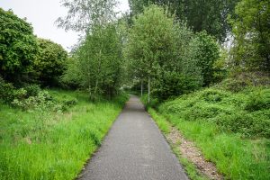A paved path in a lush green park with trees and bushes on both sides. The path curves slightly in the distance, hiding its end.