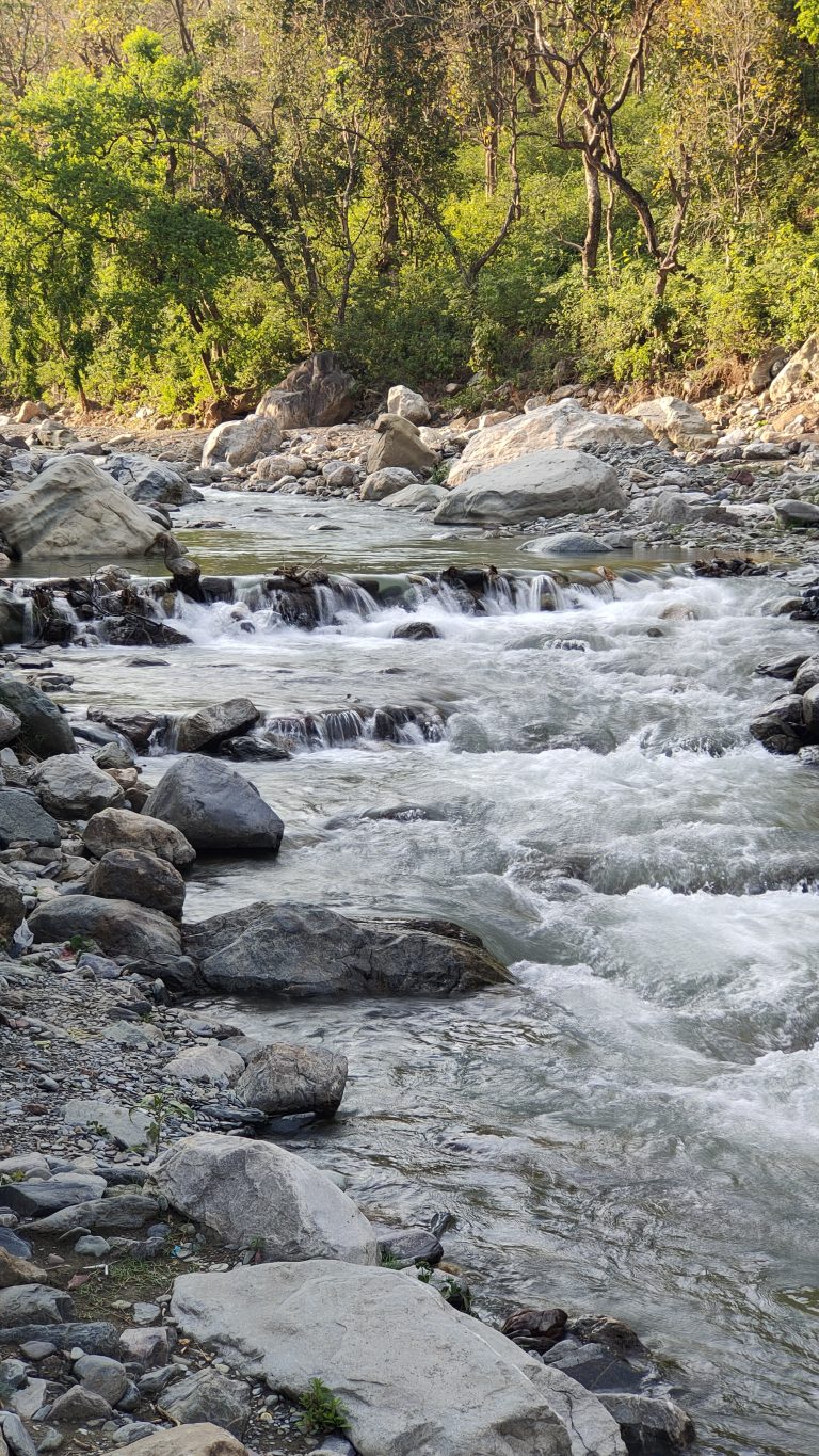 A clear, flowing river cascading over rocks, with lush greenery on the banks. Kalsi Waterfall, Dehradun, Uttrakhand.