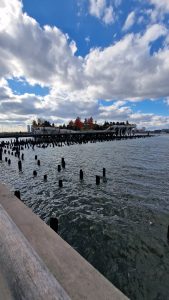 A waterfront scene featuring a partially cloudy sky with a mix of bright and dark clouds at Little Island, New York. Below the sky, there are remnants of old wooden pilings sticking out of the water, which extends from the foreground to the middle of the image.