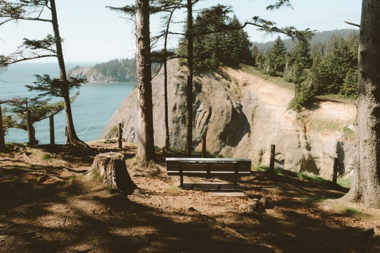 Wooden bench alongside a cliff overlooking a sunny and rocky coastline.