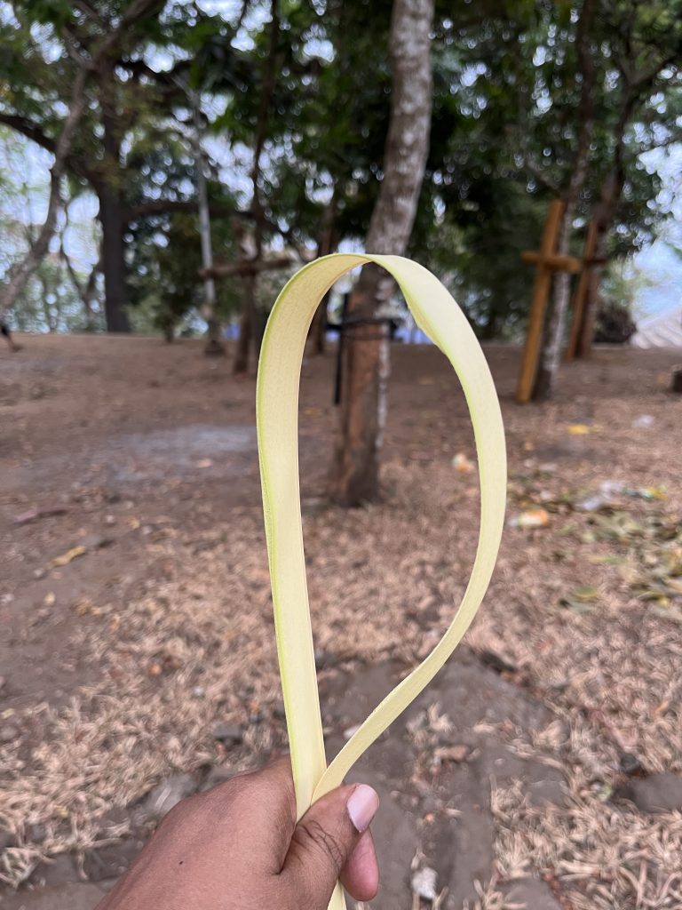 A person holds a coconut leaf bent into a loop shape with trees and a wooden cross in the background. Celebrating palm sunday a tradition during Easter in Kerala, India.