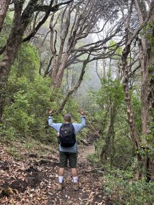 A person with a backpack and hiking gear stands on a forest trail, facing away from the camera and raising both hands in a peace sign. The trail is surrounded by dense green foliage and tall, bare trees. There is a misty, overcast atmosphere, adding to the forest's lush and serene environment. Steps can be seen further up the trail.