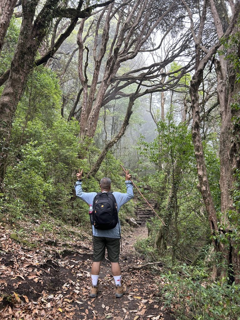 A person with a backpack and hiking gear stands on a forest trail, facing away from the camera and raising both hands in a peace sign. The trail is surrounded by dense green foliage and tall, bare trees. There is a misty, overcast atmosphere, adding to the forest’s lush and serene environment. Steps can be seen further up the trail.