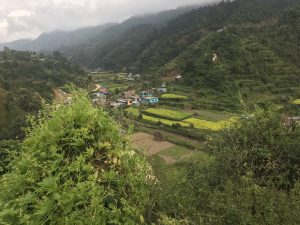 Rural village surrounded by terraced fields and lush green hills extending into the distance. Small houses, including a prominent teal-colored one, are scattered throughout the landscape. Misty mountains loom in the background under a cloudy sky. Vegetation in the foreground partially frames the scene.