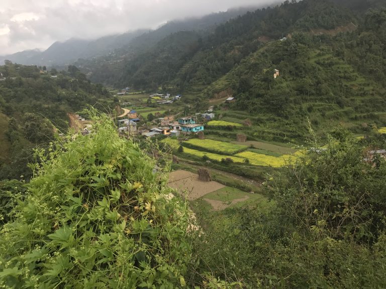 Rural village surrounded by terraced fields and lush green hills extending into the distance. Small houses, including a prominent teal-colored one, are scattered throughout the landscape. Misty mountains loom in the background under a cloudy sky. Vegetation in the foreground partially frames the scene.