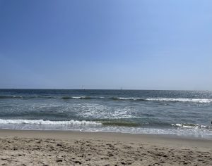 A calm scene at Muscle Beach with gentle waves lapping against the sandy shore, and sailboats visible in the distance under a clear blue sky. 