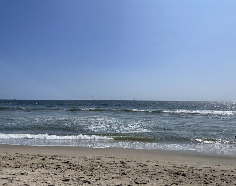 A calm scene at Muscle Beach with gentle waves lapping against the sandy shore, and sailboats visible in the distance under a clear blue sky.