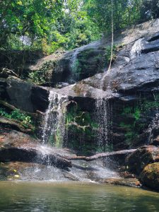 A serene waterfall cascading down mossy rocks into a tranquil pool surrounded by lush green foliage.