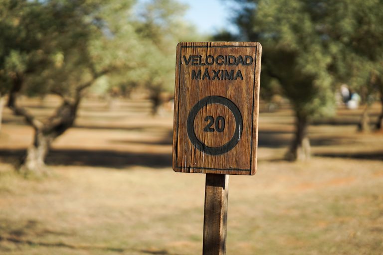 Old wooden speed limit sign.