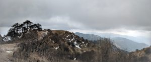  A panoramic view of a mountainous landscape with patches of snow, a group of trees on a ridge, and overcast skies above layered hills in the distance.
