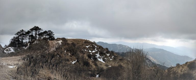 A panoramic view of a mountainous landscape with patches of snow, a group of trees on a ridge, and overcast skies above layered hills in the distance.