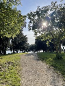  A sunlit dirt path surrounded by lush green grass and trees leads towards a body of water in the distance. Sunlight filters through the leaves, creating a bright and serene atmosphere.