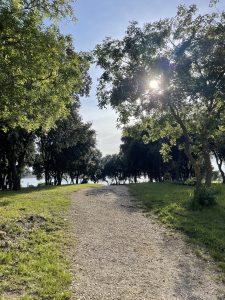  A sunlit dirt path surrounded by lush green grass and trees leads towards a body of water in the distance. Sunlight filters through the leaves, creating a bright and serene atmosphere.
