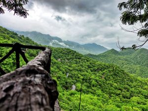 View larger photo: View of a mountain range seen from a tree in Mount Abu, India. The landscape includes clouds, sky, vegetation, and grass.