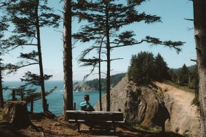 Person sitting on a bench amongst trees overlooking a cliff and coastal view. 