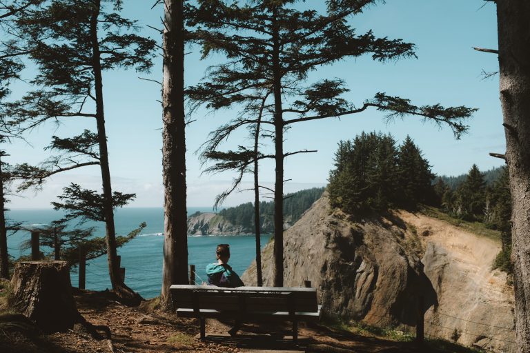 Person sitting on a bench amongst trees overlooking a cliff and coastal view.