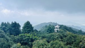 forest landscape in Nagarkot site view Kathmandi Nepal