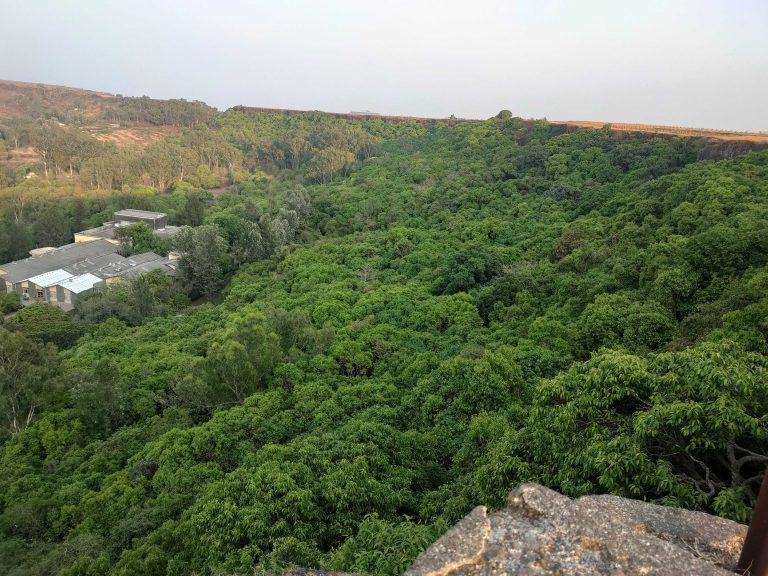 A tranquil haven in the mountains: A beautiful house is nestled amidst a lush, verdant landscape, surrounded by endless greenery. It offers a serene retreat where the majesty of nature meets the comfort of home, providing a perfect escape from the hustle and bustle of everyday life.