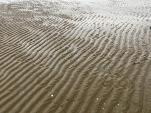 A close-up view of wet rippled sand on a beach, showing natural patterns and textures