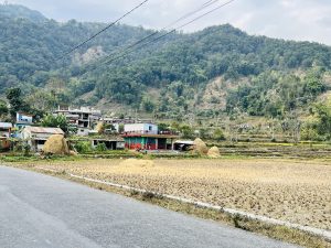 A road lined with small houses, with a hill rising in the background.