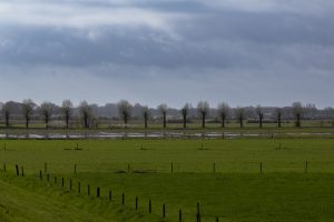 A floodplain with a partially flooded meadow with the background a road with weeping willows and a dark cloudy sky