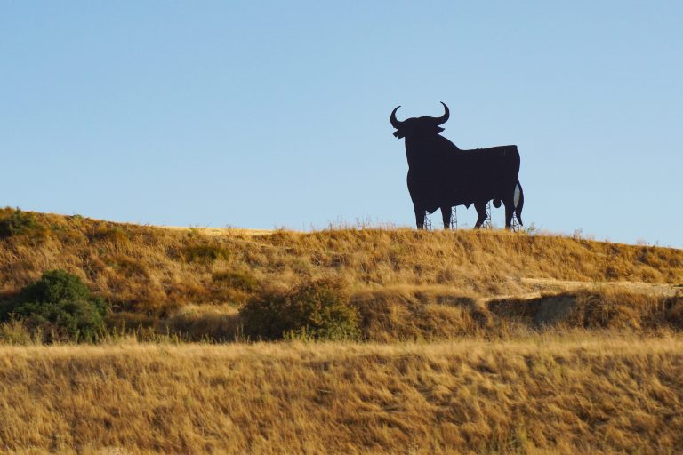 Typical Spanish road sign over a yellow wheat field.