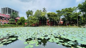 A tranquil pond covered with green lily pads in the foreground with a multi-story red building under construction in the background