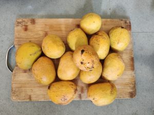  Fresh Ready Alphonso mangoes arranged neatly on a wooden cutting board.