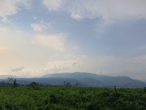 Lush green landscape, expansive cloudy sky, distant hills.