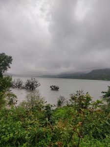 A scenic view of a lake with some shrubs and trees partly submerged in the water at Mahabaleshwar. The foreground has lush green vegetation, and the background features a hilly landscape under a cloudy, overcast sky.