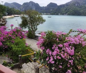 Hillside lake with lush green mountains in the background. The foreground features vibrant pink bougainvillea flowers and a few other green plants. A concrete pathway and steps lead down to the water's edge, where a tree and a few boats are visible on the calm sea.