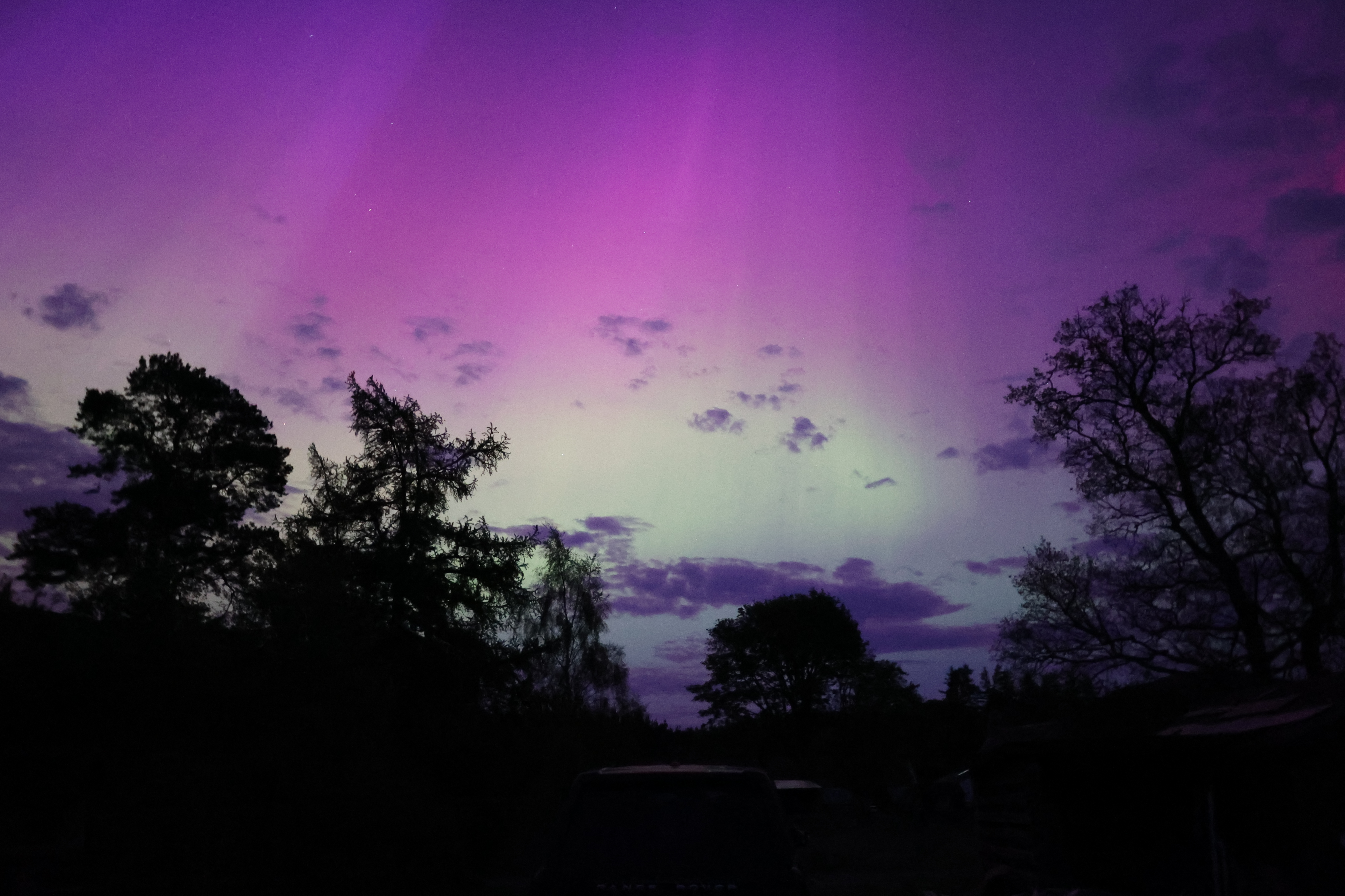 Aurora, Northern Lights, Strathgarve, Scottish Highlands with trees in silhouette