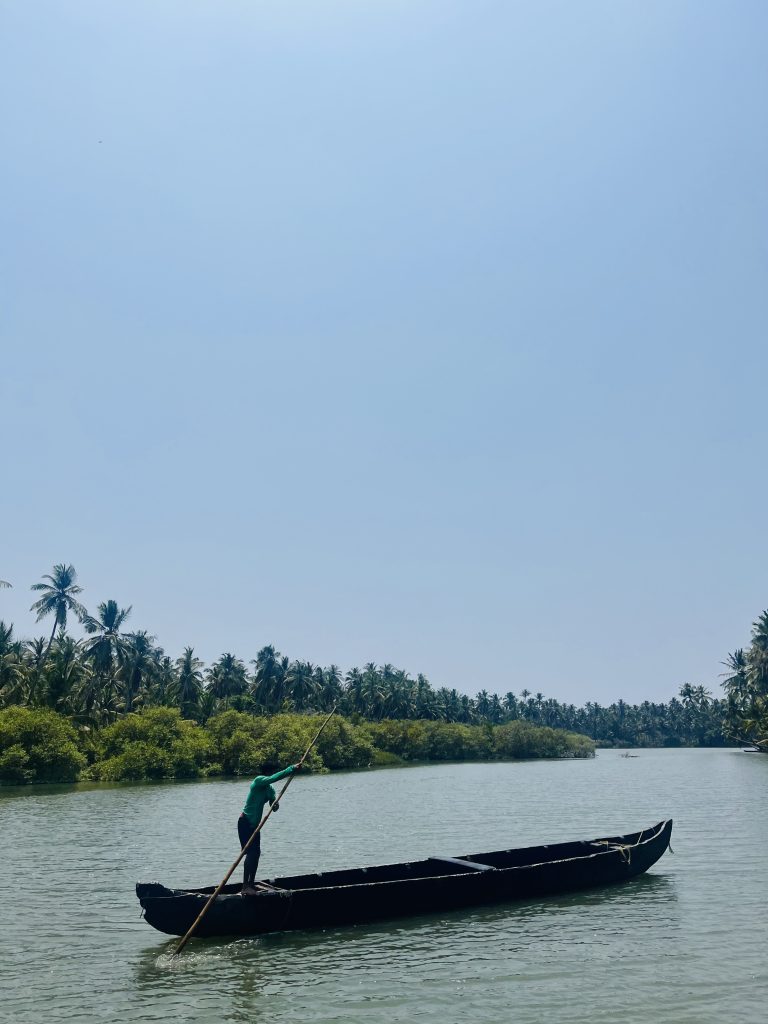 A person standing on a traditional wooden boat, using a long pole to navigate through calm river waters with lush green palm trees lining the banks under a clear blue sky.