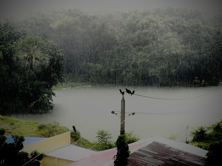 A group of crows on an electrical line and post over s a building next to a pond. It’s raining.