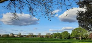 View larger photo: A beautiful park view with sunny weather and clean cloud weather