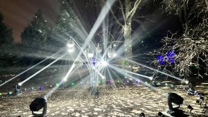 Several disco balls hung within a grove of trees lit up with spotlights and lots of rainbow reflections across the ground and trees at The Morton Arboretum’s Illumination event (Lisle, Illinois, USA)
