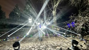 Several disco balls hung within a grove of trees lit up with spotlights and lots of rainbow reflections across the ground and trees at The Morton Arboretum's Illumination event (Lisle, Illinois, USA)