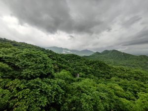 The photo shows a lush, green landscape with dense forests and rolling hills, captured while traveling to Mount Abu, India. The view includes mist-shrouded mountains in the background and an overcast sky with dark clouds, hinting at rain. A winding road is visible through the greenery.