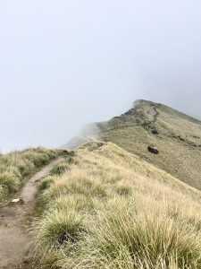 A narrow trekking path winds along a grassy ridge, gradually disappearing into thick fog. The scene is serene and natural, with tall grasses flanking the pathway and a sense of tranquility created by the misty atmosphere.