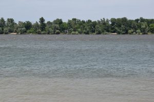 View of a river with green landscape. 