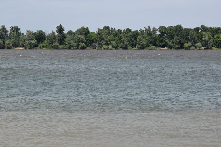 View of a river with green landscape.