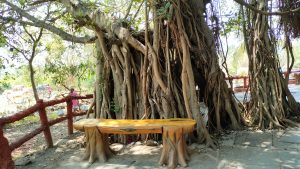 A seating bench under the shades of tree which is golden in color. 