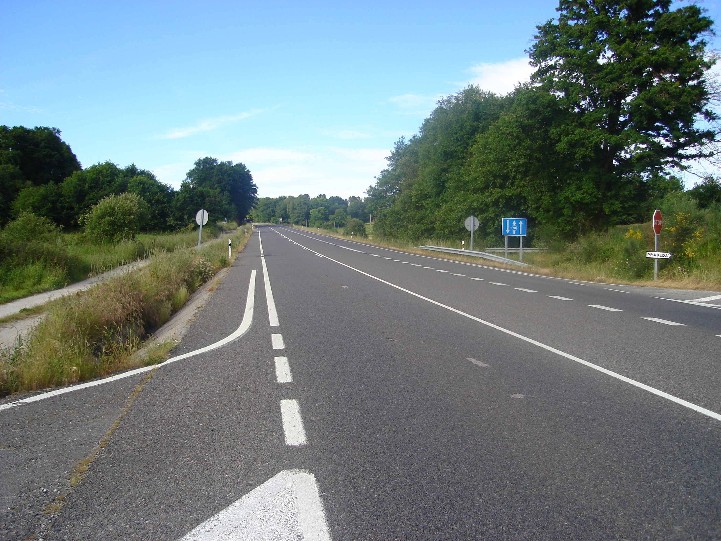 Road without traffic and some traffic signs. Greenery is in both side of the road. 