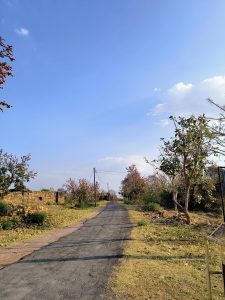 卡林加要塞一条安静的铺砌道路，两旁是树木和古老的石头废墟，在晴朗的蓝天下一直延伸到远处。