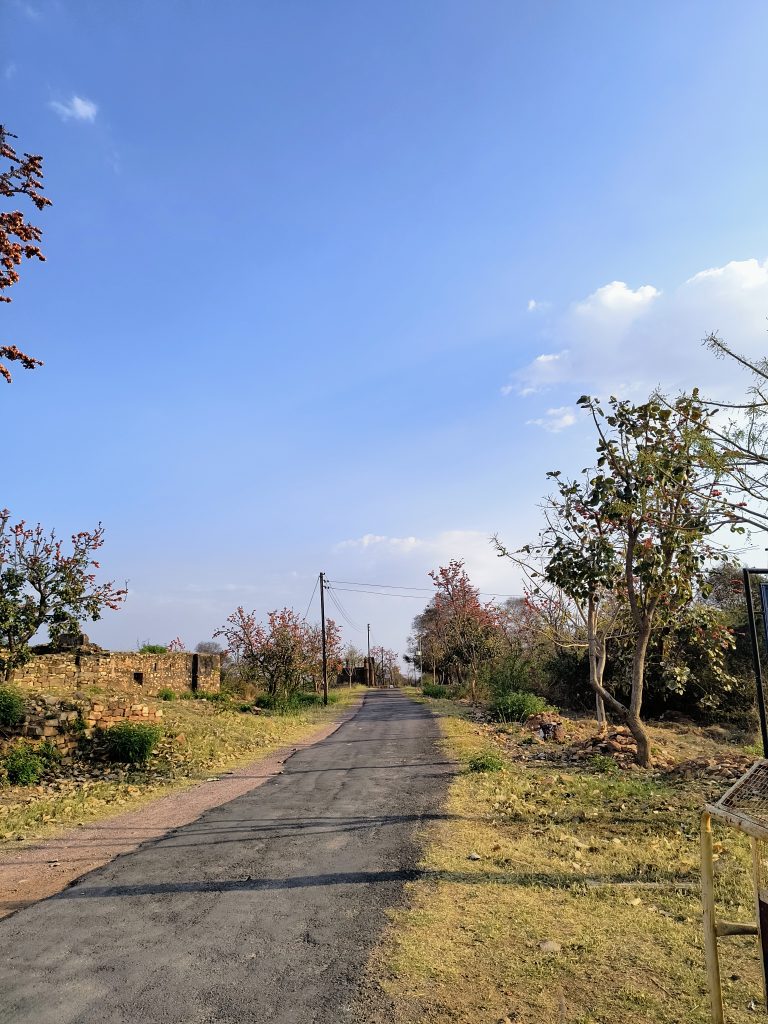 A quiet, paved road in Kalinjar Fort, lined with trees and old stone ruins, stretching into the dist...