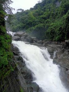 Water rushing down the Borhill Falls in Meghalaya. Green vegetation and trees grown on the rocky surfaces on both sides of the waterfall.