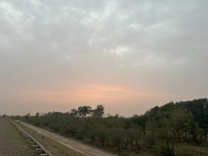 sunset over a road bordered by greenery and trees on both sides, with a cloudy sky above