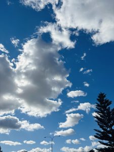  A blue sky with scattered clouds, above a tree and a street light.
