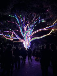 A large tree illuminated with rainbow neon lights with many people standing around and admiring the display at night.