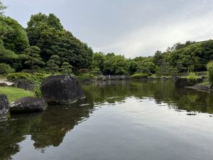 Peaceful Japanese garden pond featuring rocks and trees.